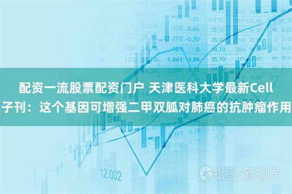 配资一流股票配资门户 天津医科大学最新Cell子刊：这个基因可增强二甲双胍对肺癌的抗肿瘤作用